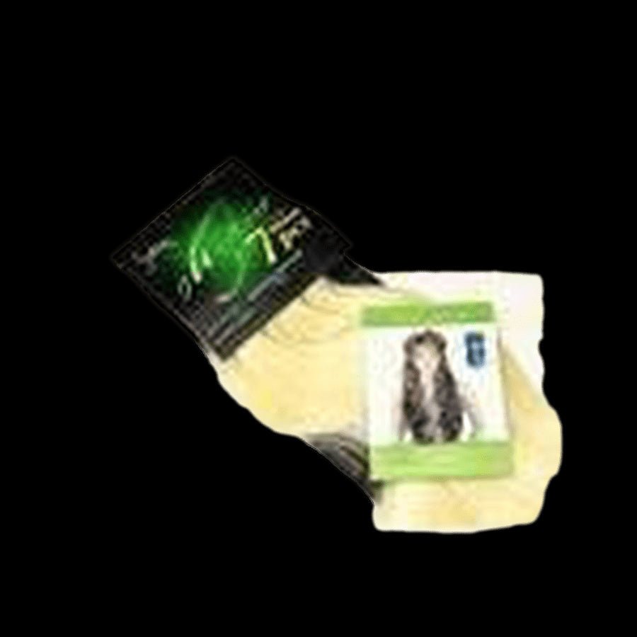 Pallet # 186 -  Lot of  Hair - variety of styles and colors