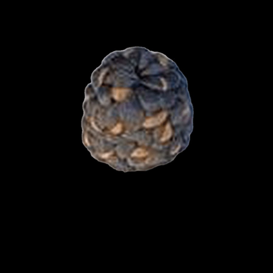 Pallet # 211-  Lot of Hair - variety of styles and colors