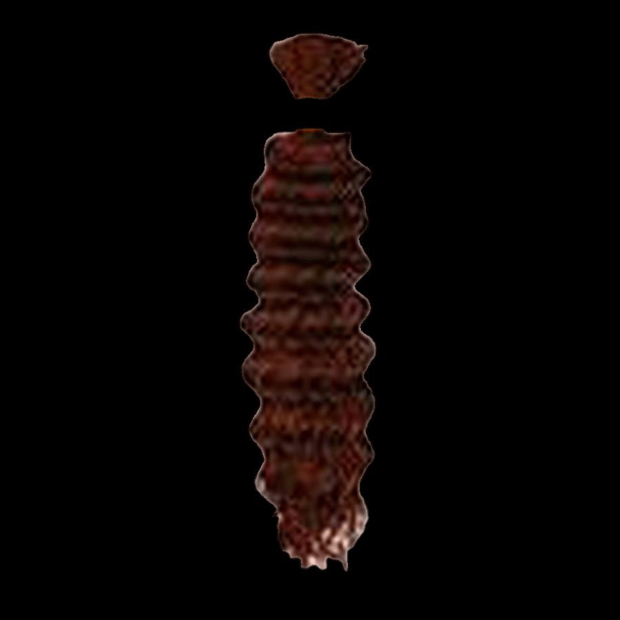 Pallet # 252 -  Lot of Hair - variety of styles and colors