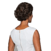 Eva Gabor Precedence Wig New With Tags