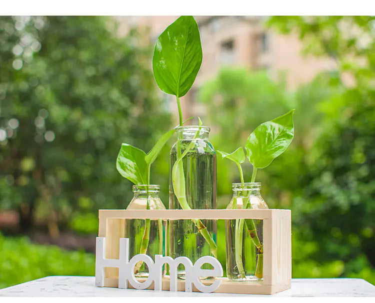 Style Loft Collection Glass Hydroponic Vase