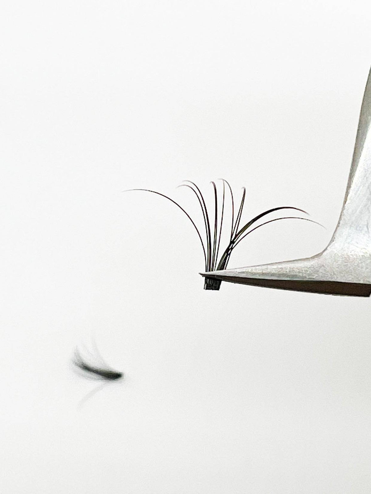 VIP Quick Fan Lash Extensions 0.05 mm D Curl | 12-Line Mix (8–18 mm)