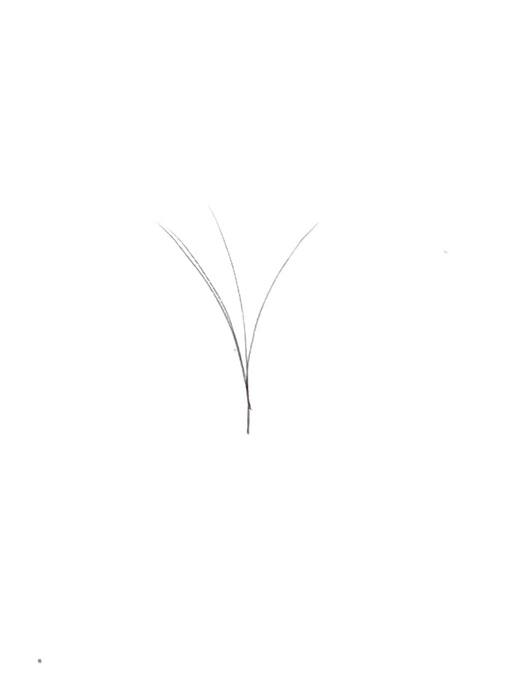 VIP -  V Type Easy Fan Lashes - 0.5 C curl -12 lines