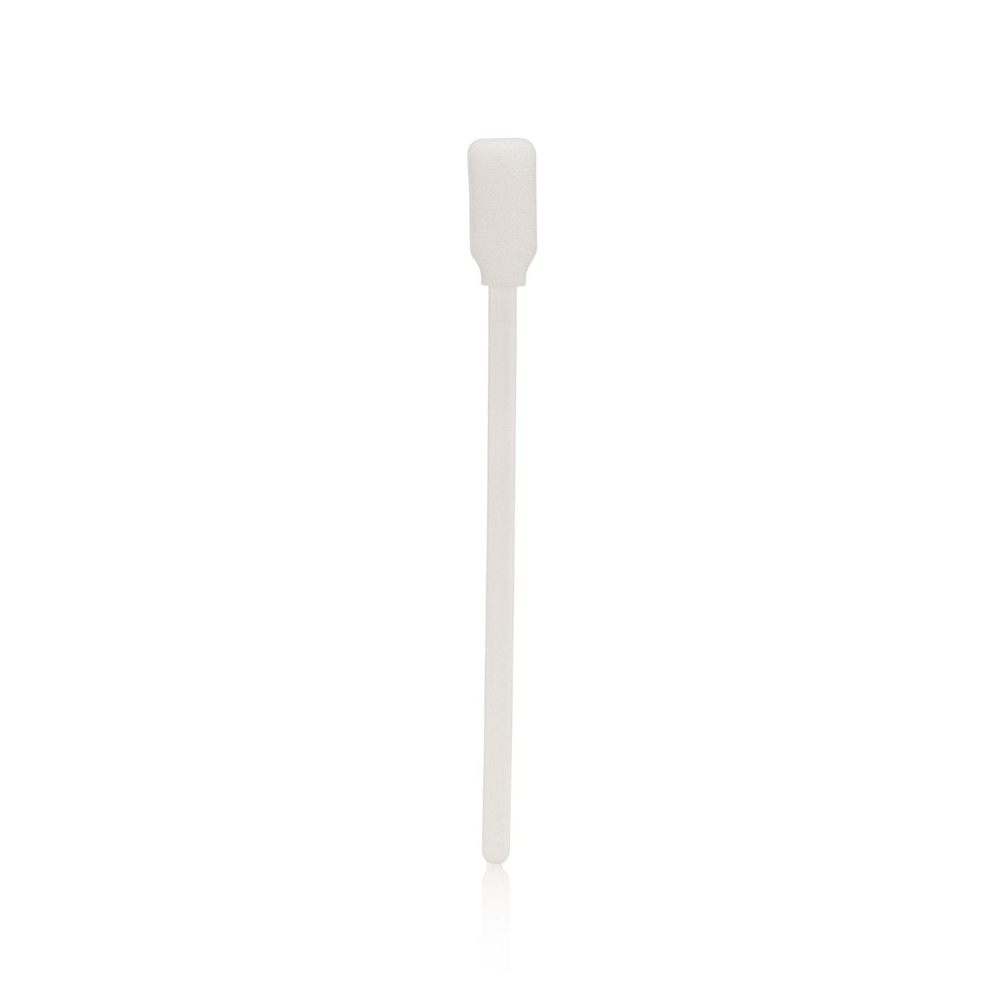Walker Tape  Brush  and Sponge  Glue  Applicator